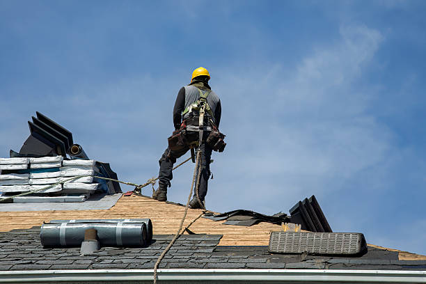 Professional Flat Roof Repair technician working in Lapaz, IN